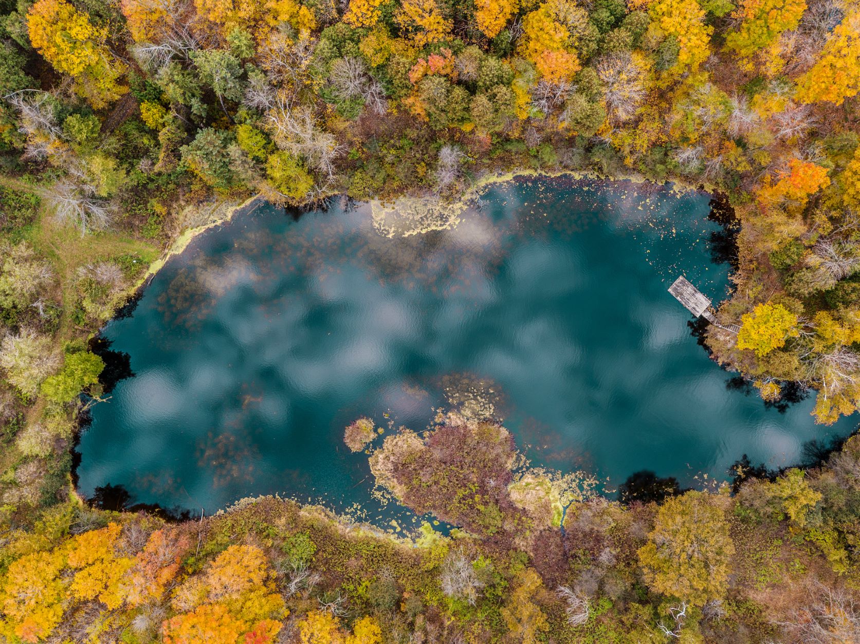 aerial shot of hart house farm, blue body of water in the middle of the photo, surrounded by a fall canopy